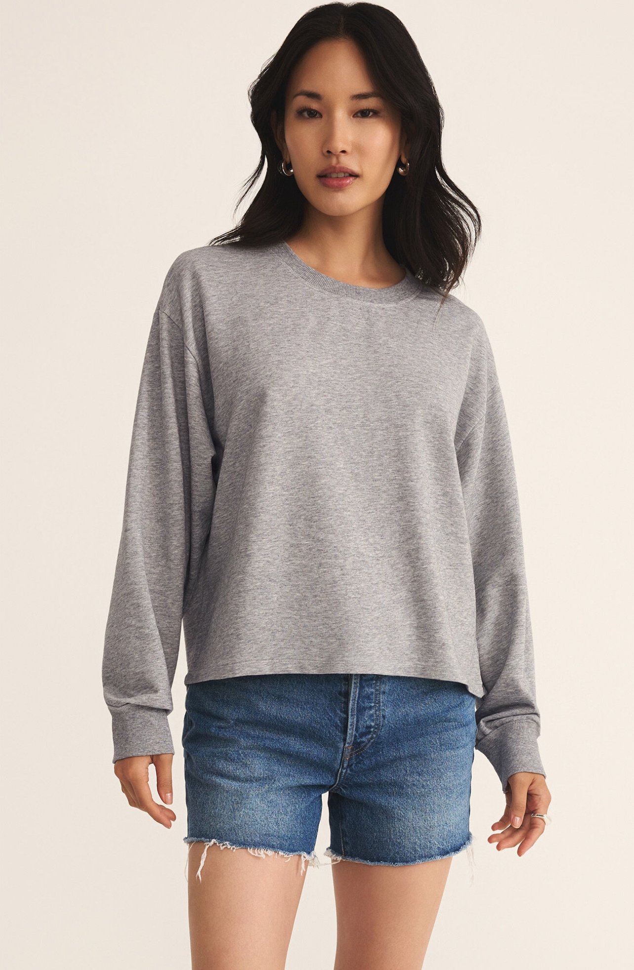 Z Supply Ellis Sweatshirt