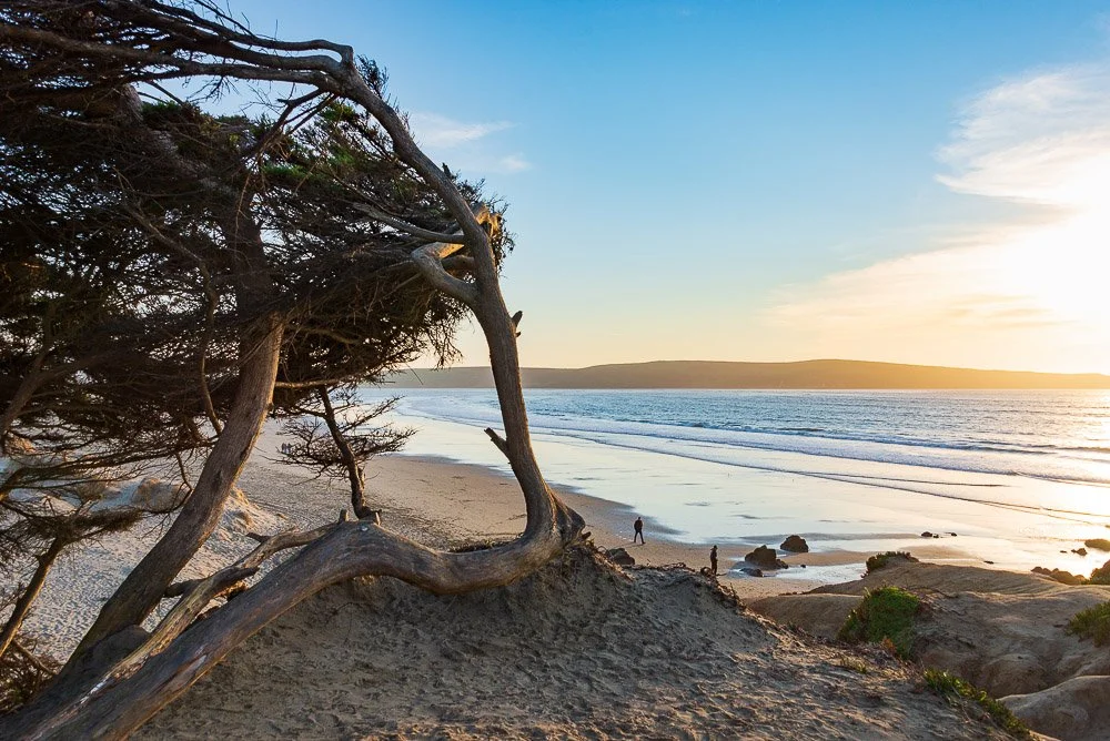 Dillon Beach-3589.jpg