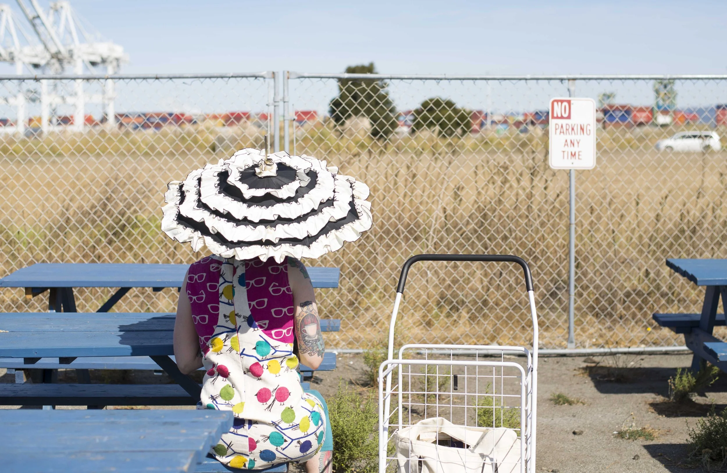 Alameda Flea, Beach, Fort Funston-5079.jpg