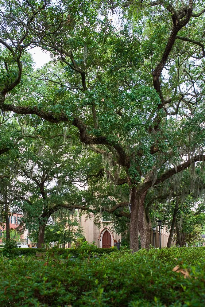 Amaya Graduation 2023-2875.jpg