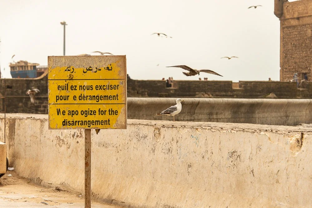 Essaouira 2017-4812.jpg