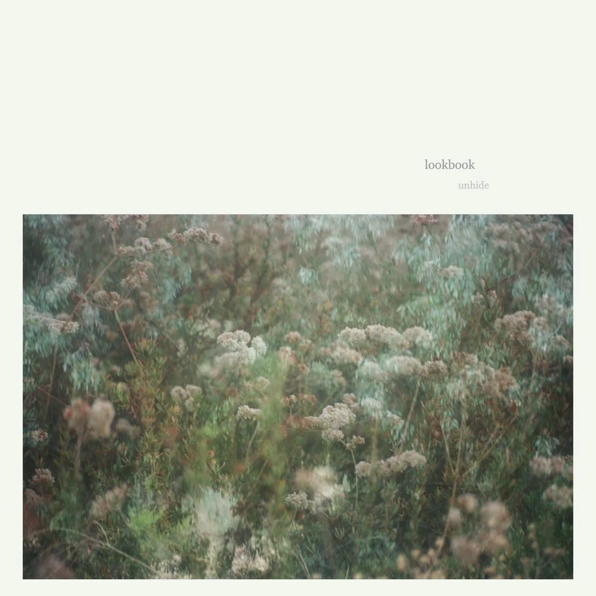 Lookbook, "Unhide": mixed