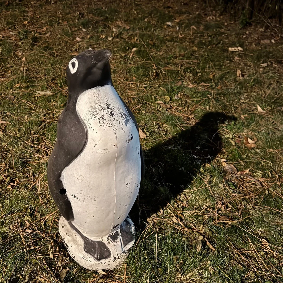 Alan Sparhawk, "J.C.M.F." / No More Darkness: mixed