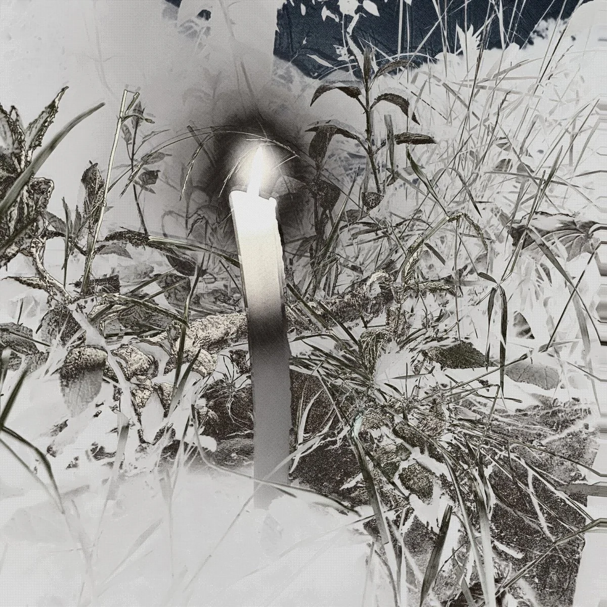 Glass Egg, "Visions & Ecstasies": mastered