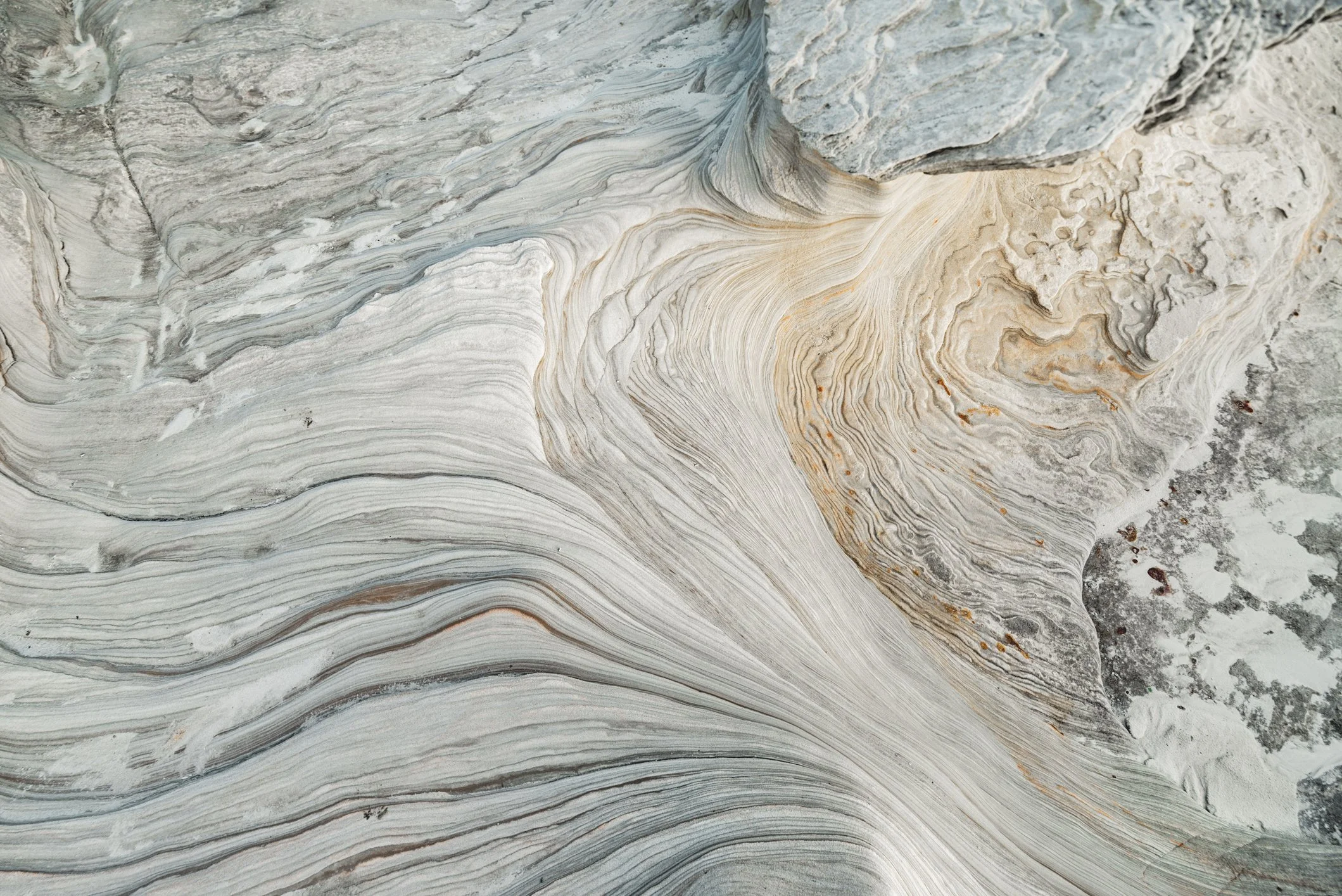Close-up view of a textured, layered rock surface with shades of cream, gray, and tan, featuring intricate swirling patterns and mineral veins.