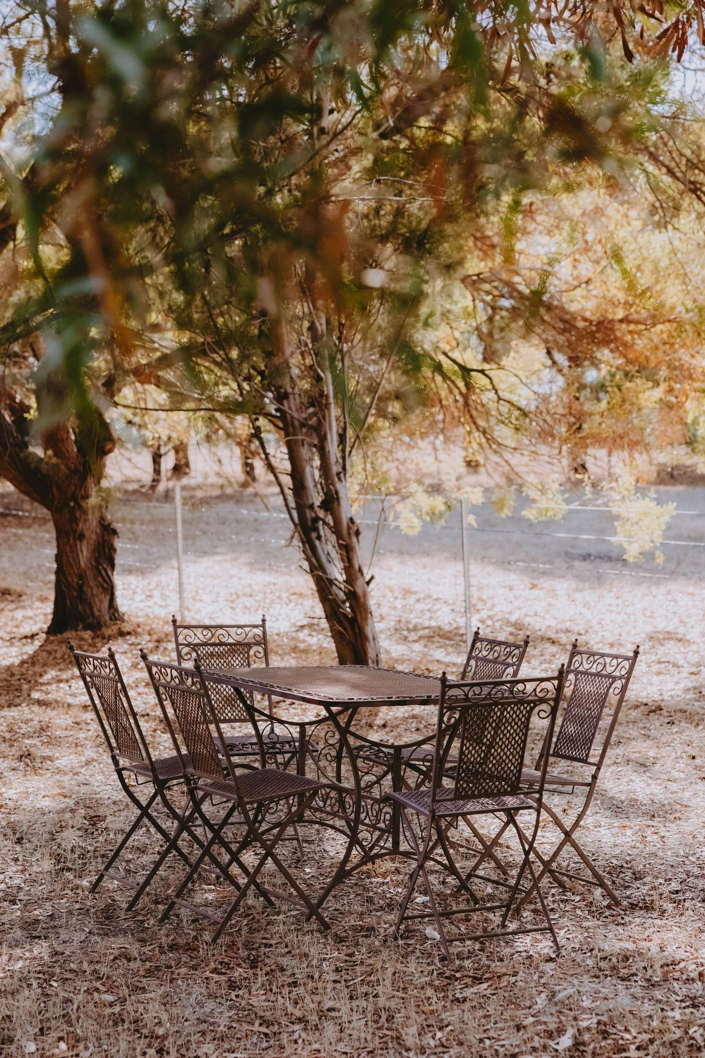 Mornings on the farm begin slowly.

Cool air, soft light, alpacas grazing quietly &ndash; the kind of start that sets the tone for the whole day.

There&rsquo;s no rush here, especially in autumn.

#ShepherdsHillStays #SlowStays #QuietLuxury #FarmSta