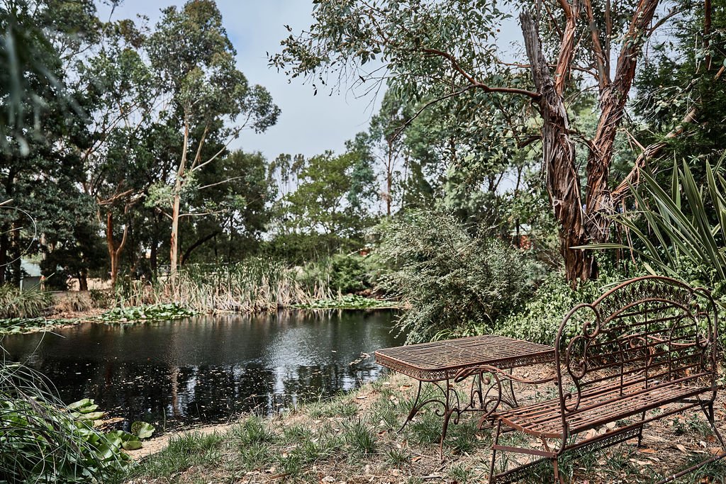 Tranquil-lily-pond-surrounded by-greenery-at-Shepherds-Hill-property.jpg