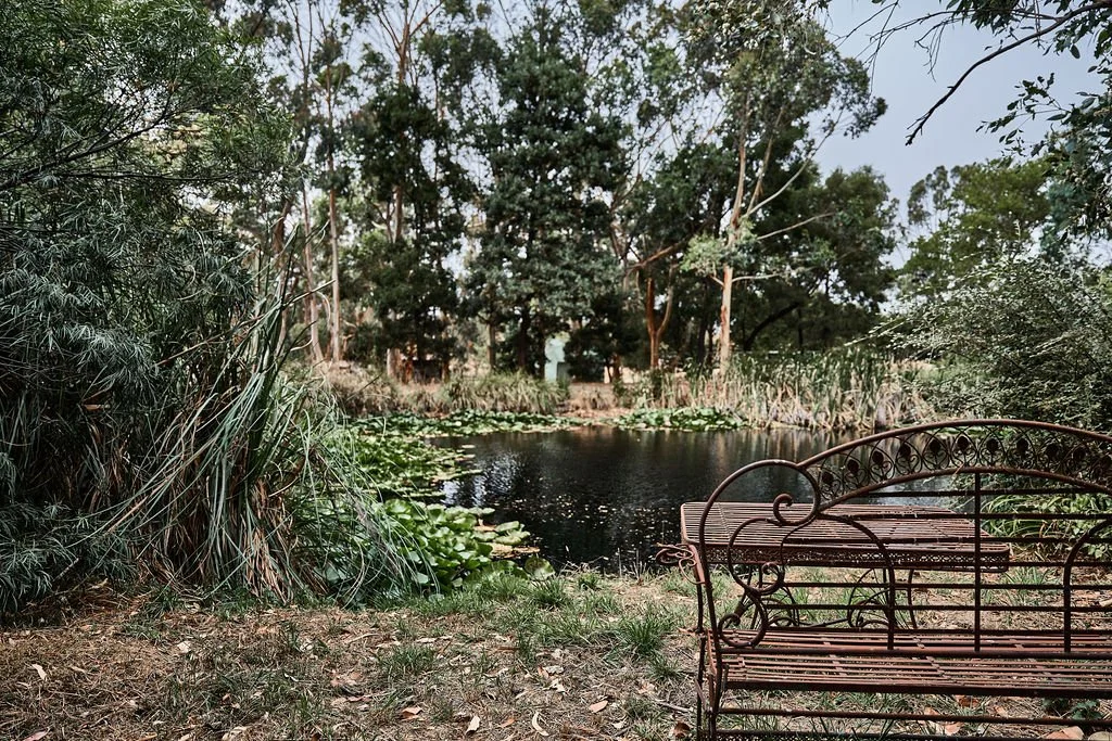 A wrought iron chair and table sits before a pond surrounded by bush, with water lilies growing in the water