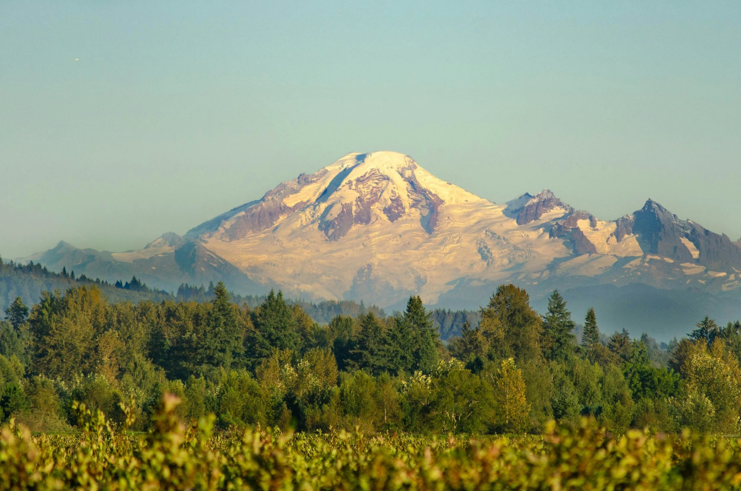 Choosing In Home Care Options in the Mid-Willamette Valley