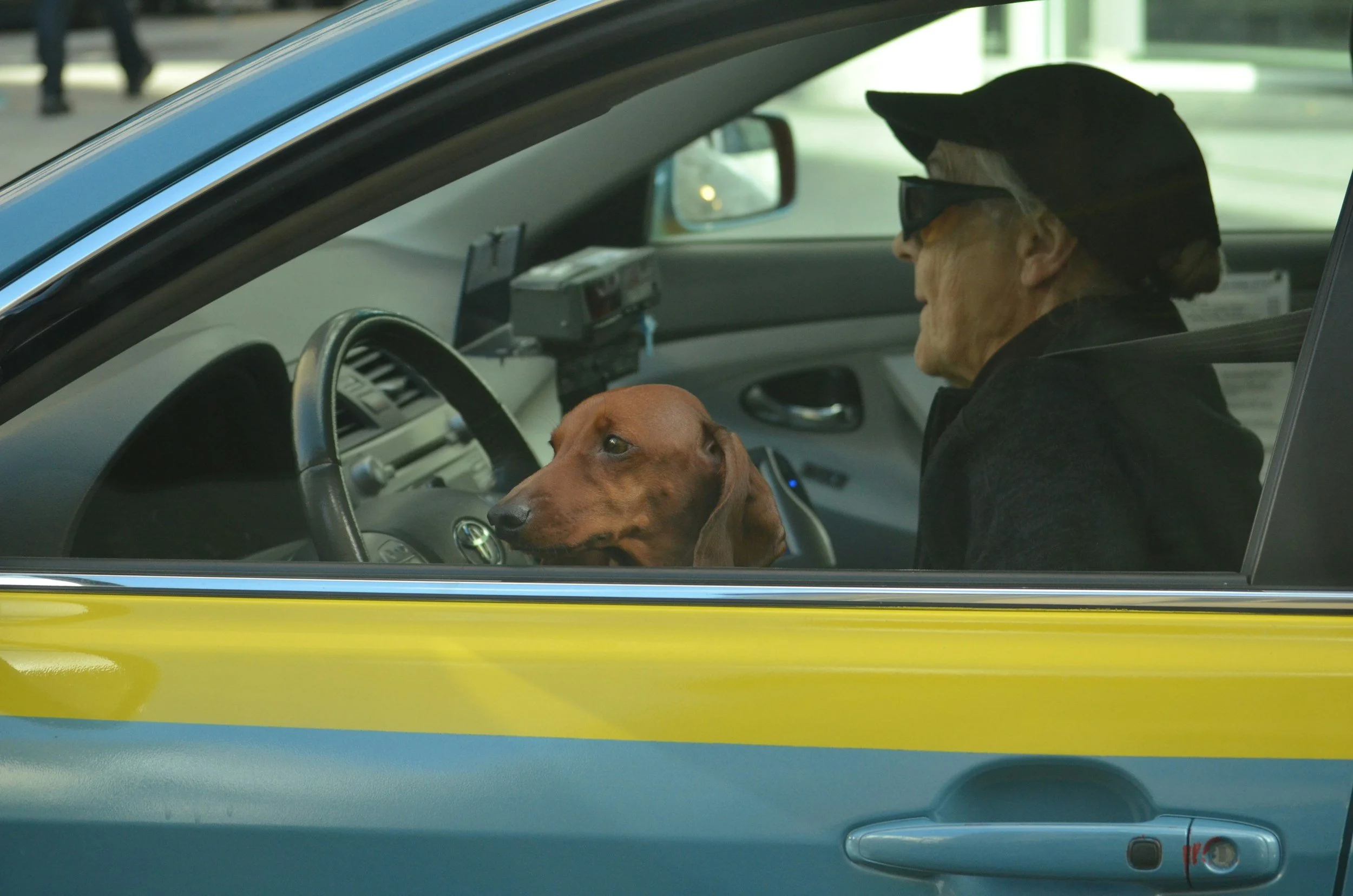 Navigating Driving and Transportation Changes for Seniors in Tigard and Tualatin