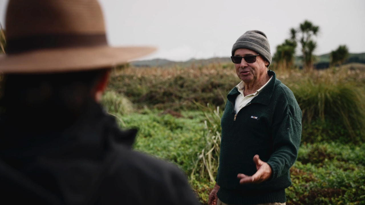 Hautapu Wetland Restoration 