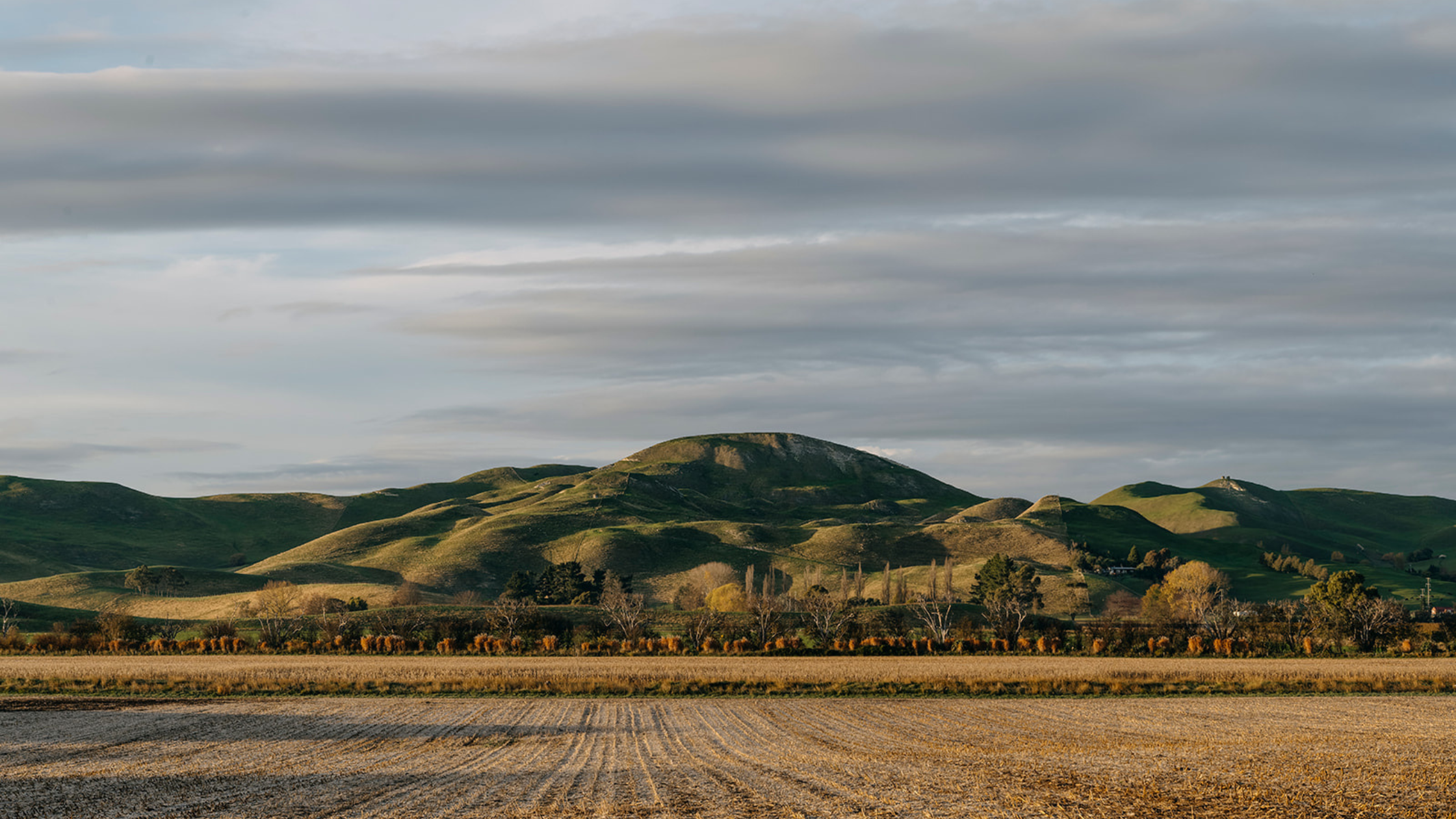 Unlocking Natural Capital Revenue with CarbonCrop