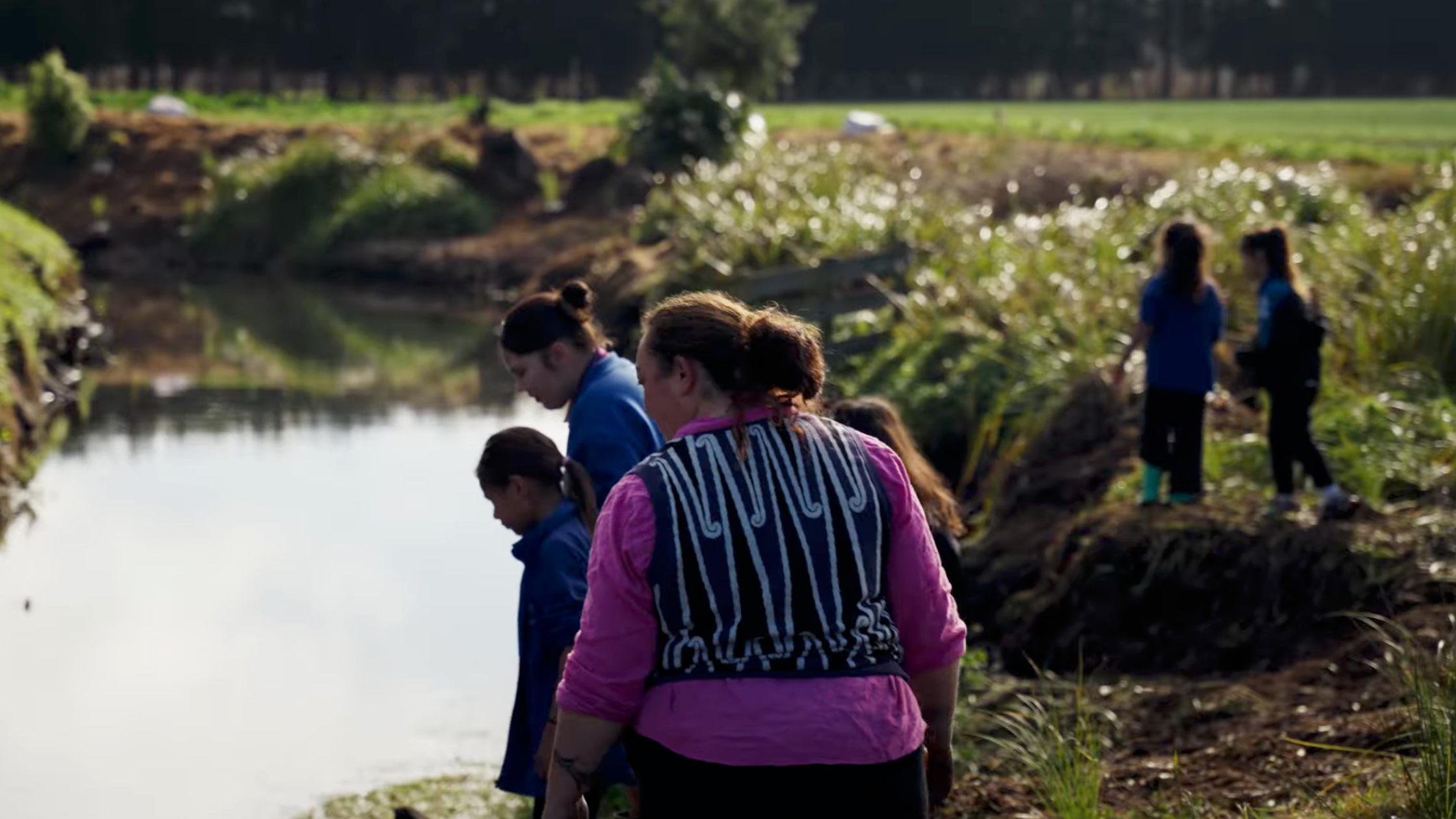 Growing Future Kaitiaki Through Wetland Restoration