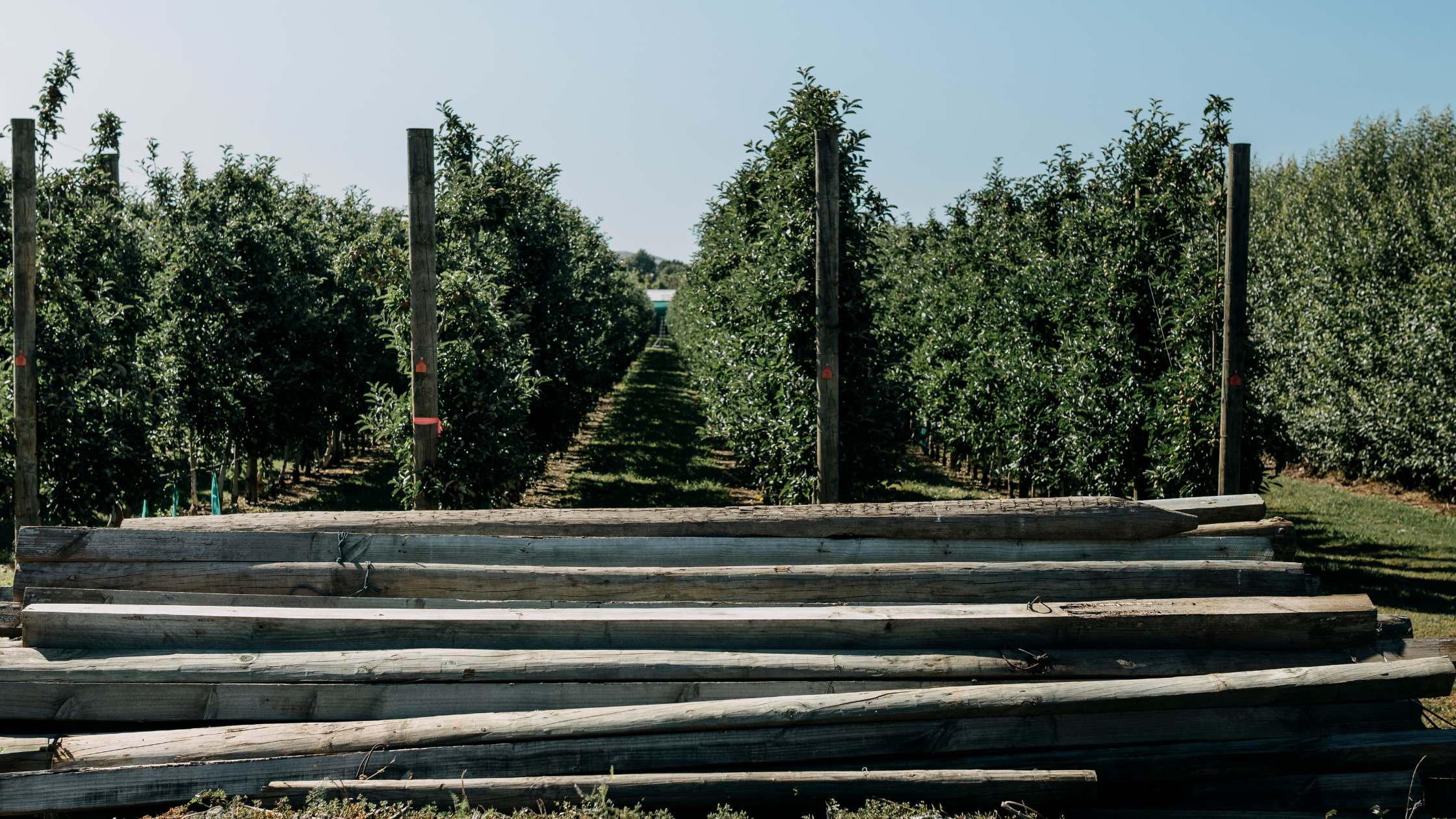 Closing the loop. Circular Fencing for Nature