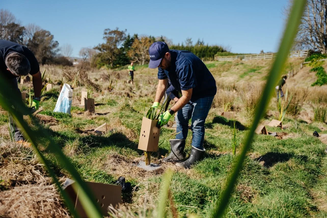 When local businesses come together, good things grow