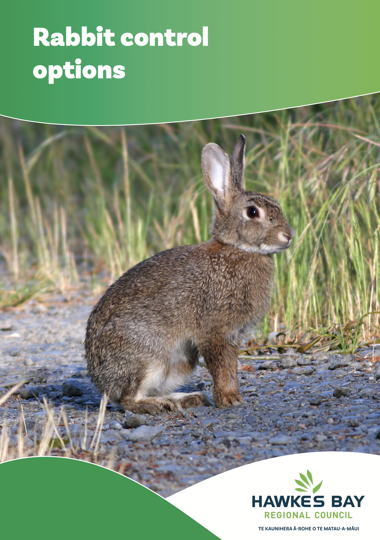 Printable rabbit control guide for farmers and land managers for reducing rabbit populations across rural landscapes