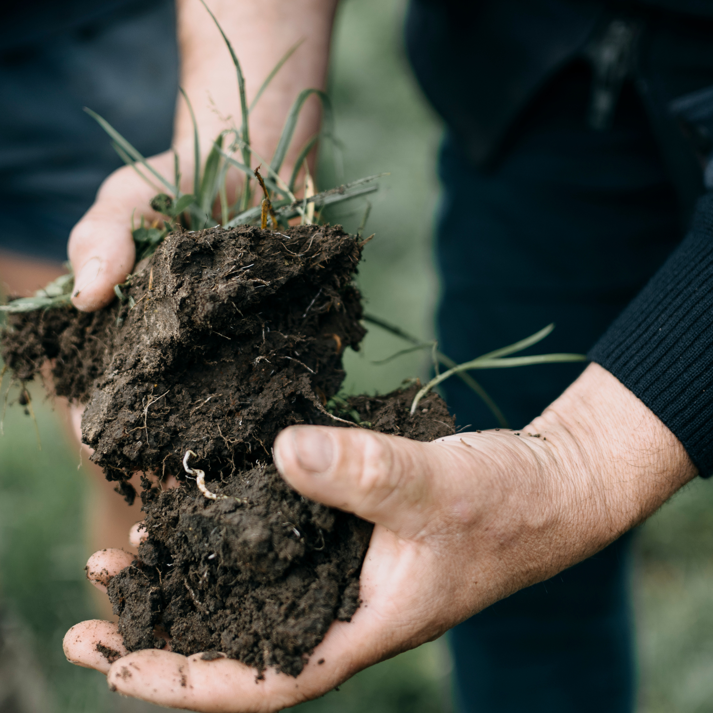 Visual soil assessment 