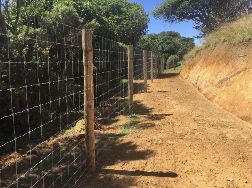 Circular Fencing For Nature