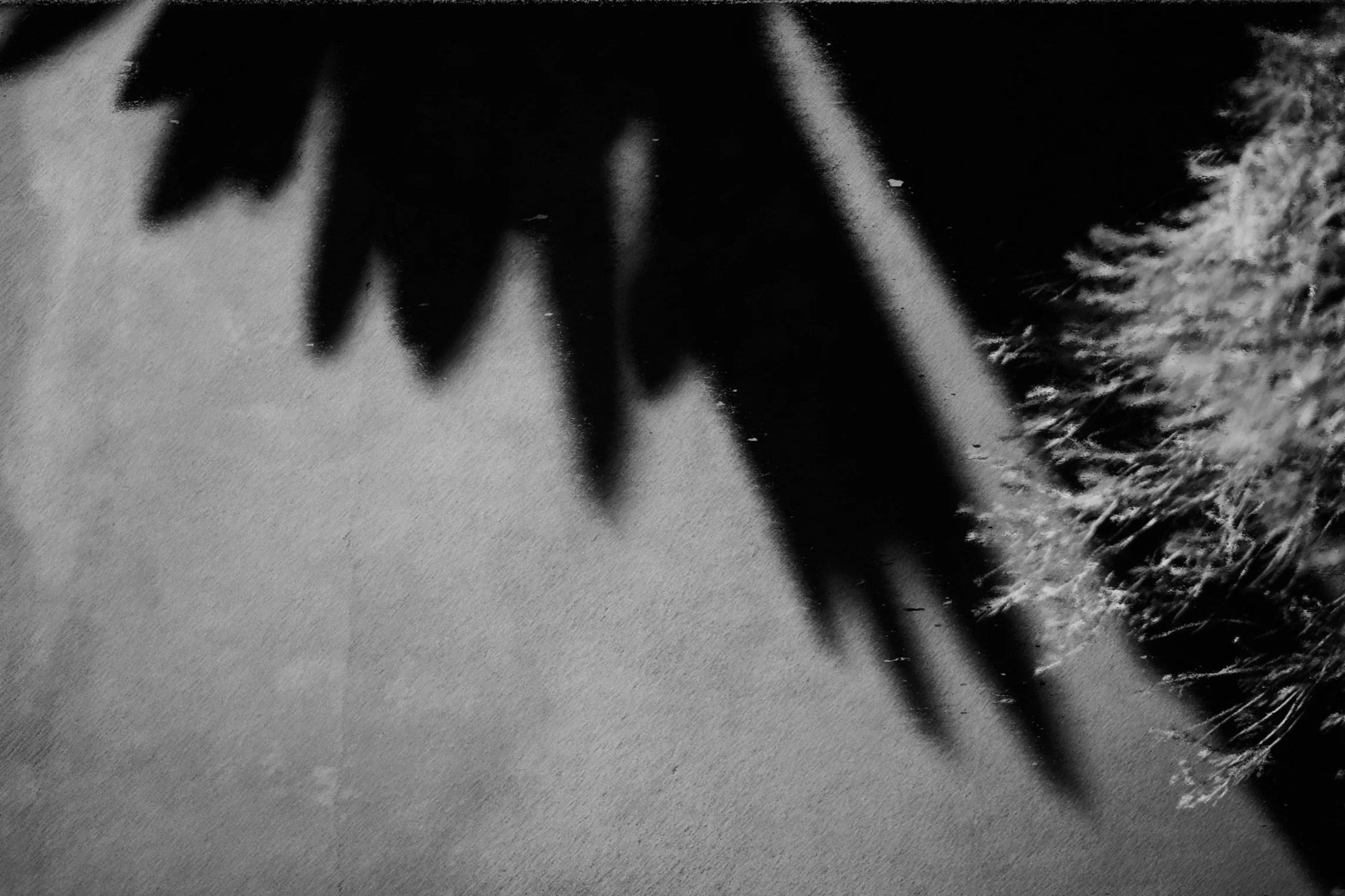 CALENDAR DAYS — The Rocket Summer
