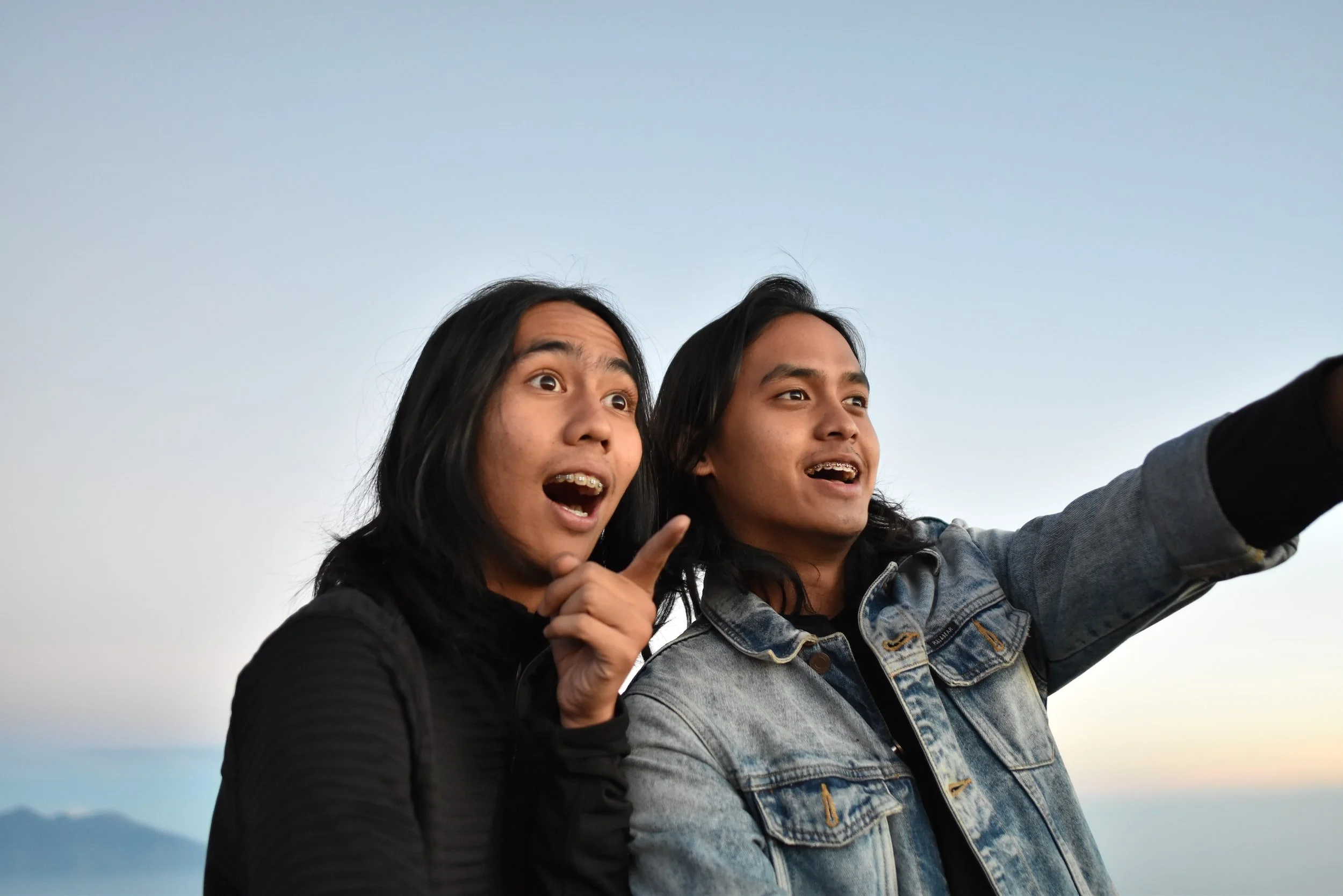 Two brothers by  Bimata Prathama