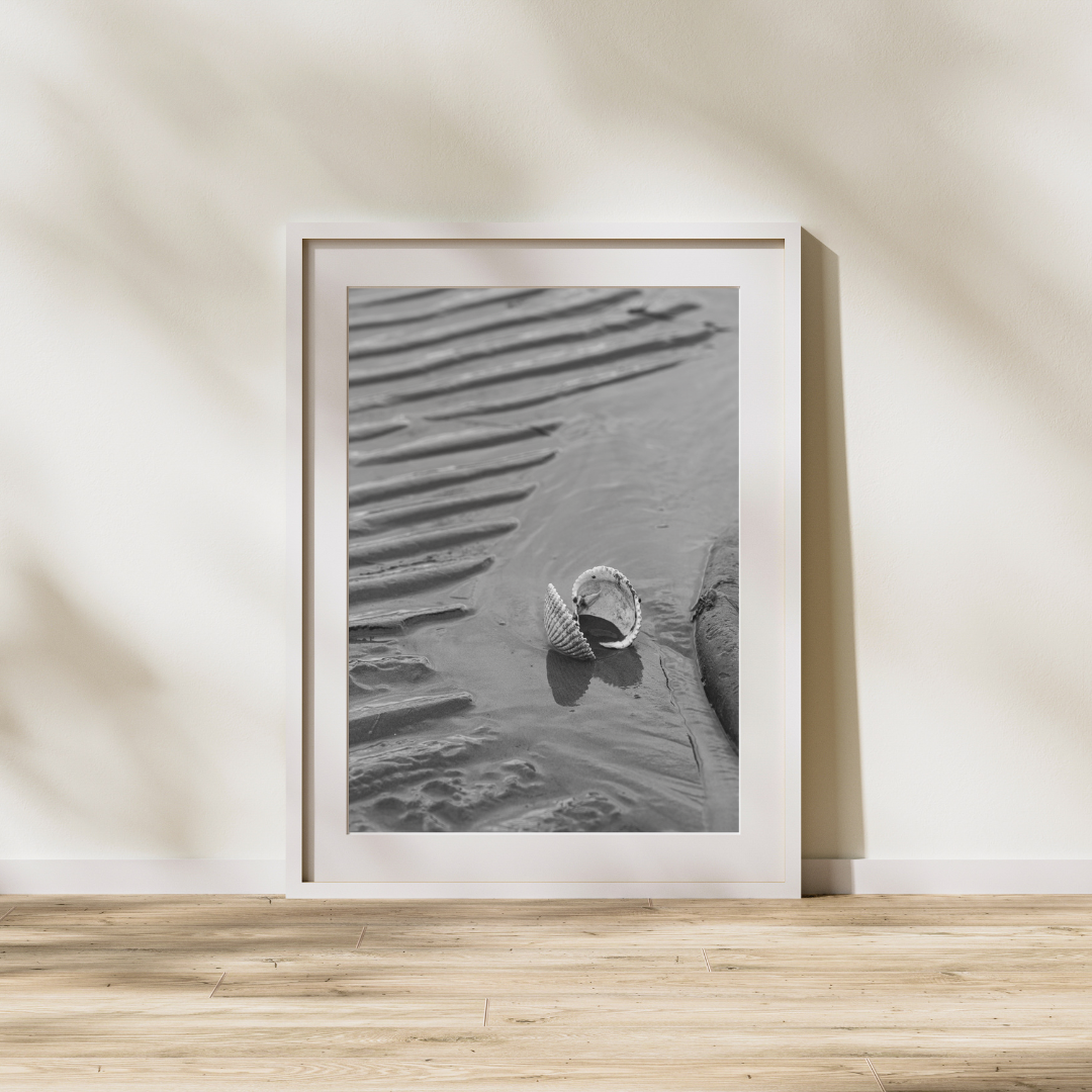 Clam Shell_FrameMock.png