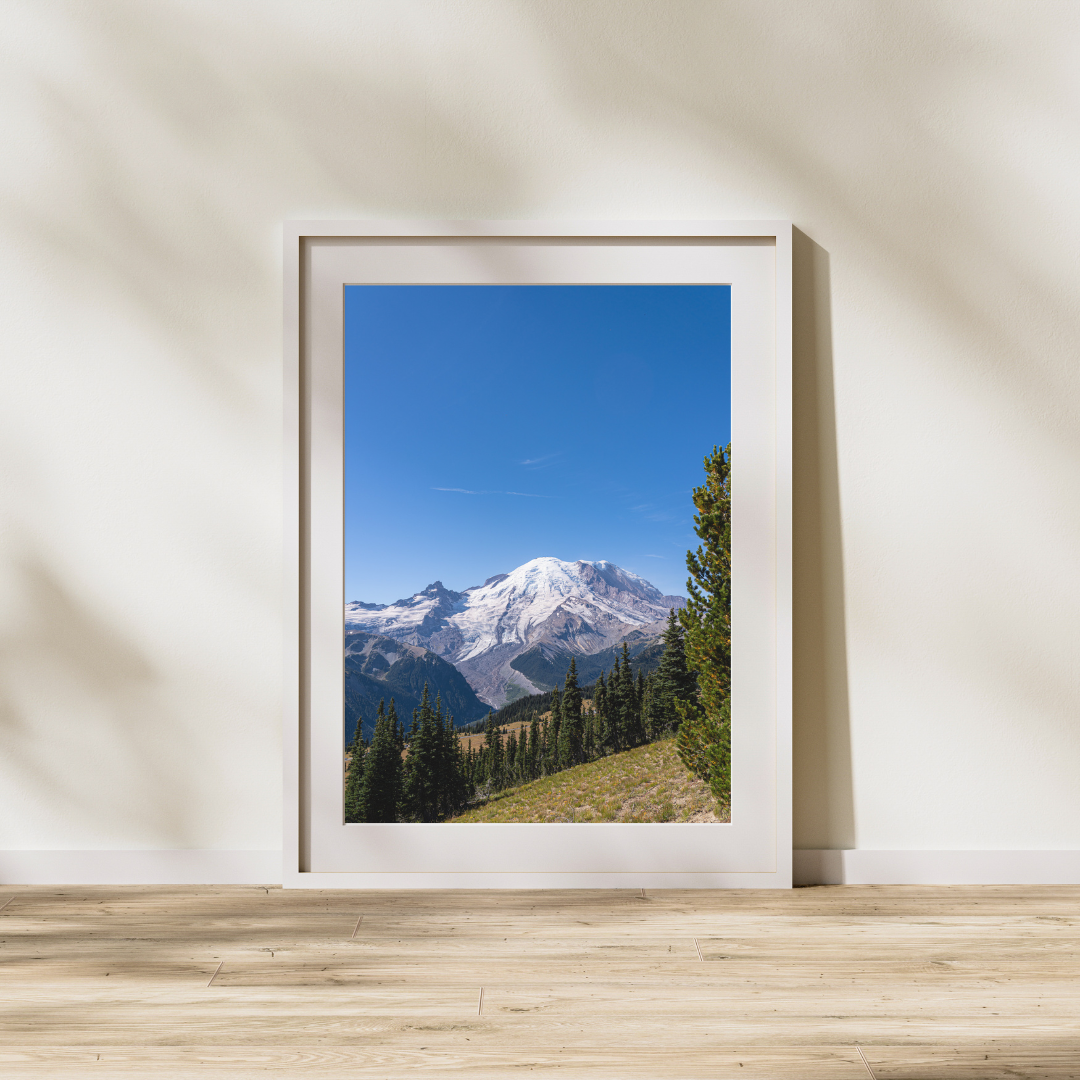 Rainier_FrameMock.png