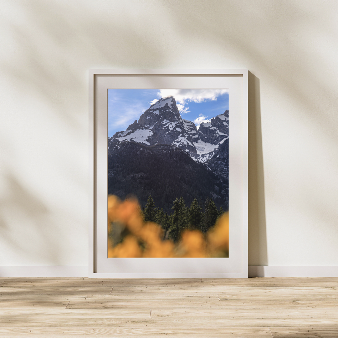 Teton_FrameMock.png