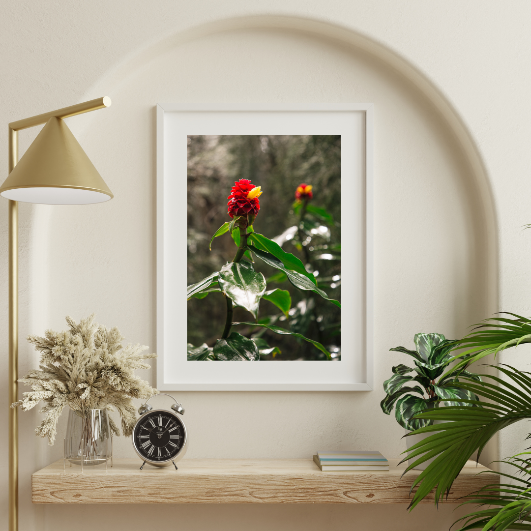 Torch Ginger_FrameMock.png