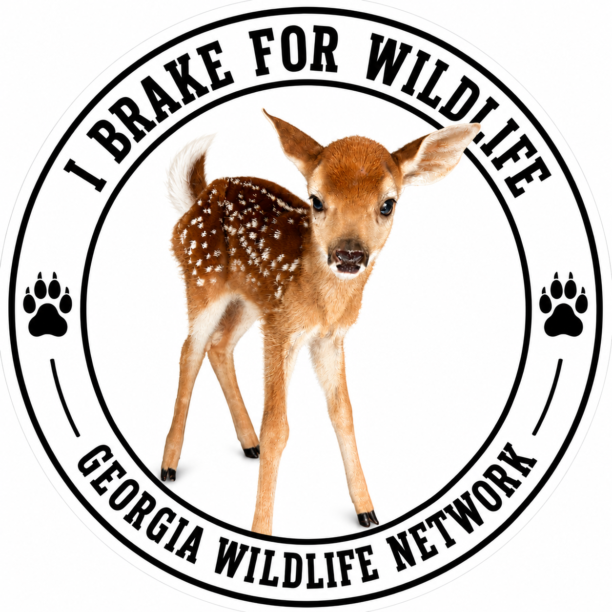 brake for wildlife.png