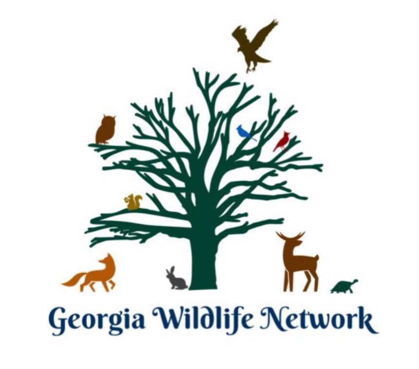 Georgia Wildlife Network