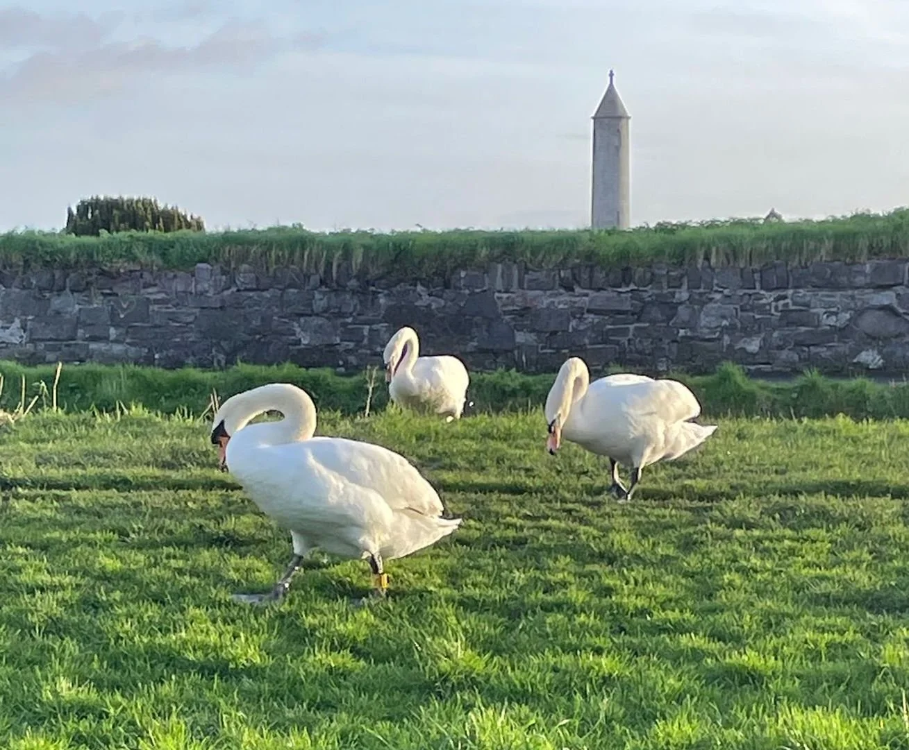 Team members in the Granby — The Granby Clinic