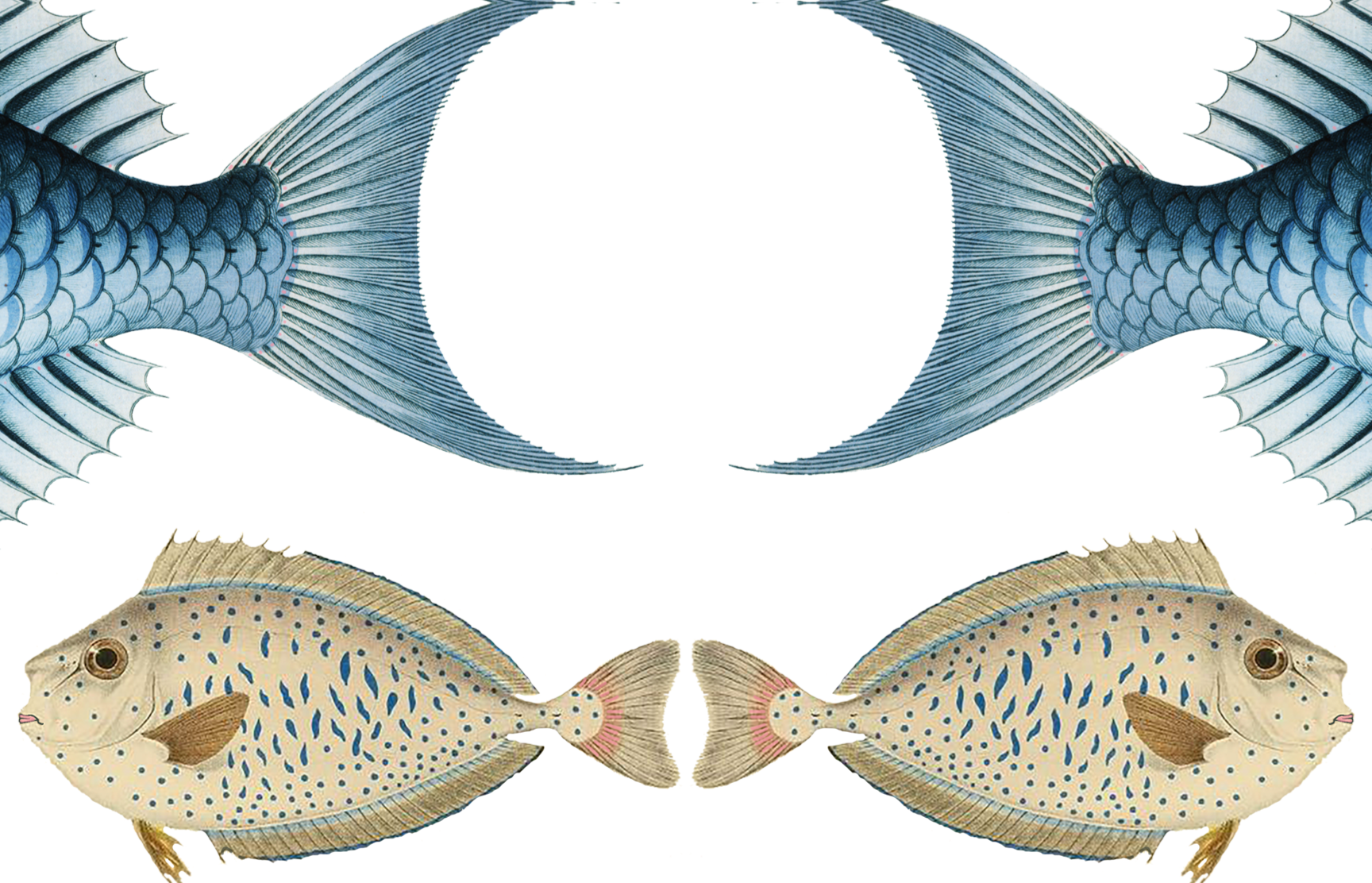 Beige Greeen fish.png