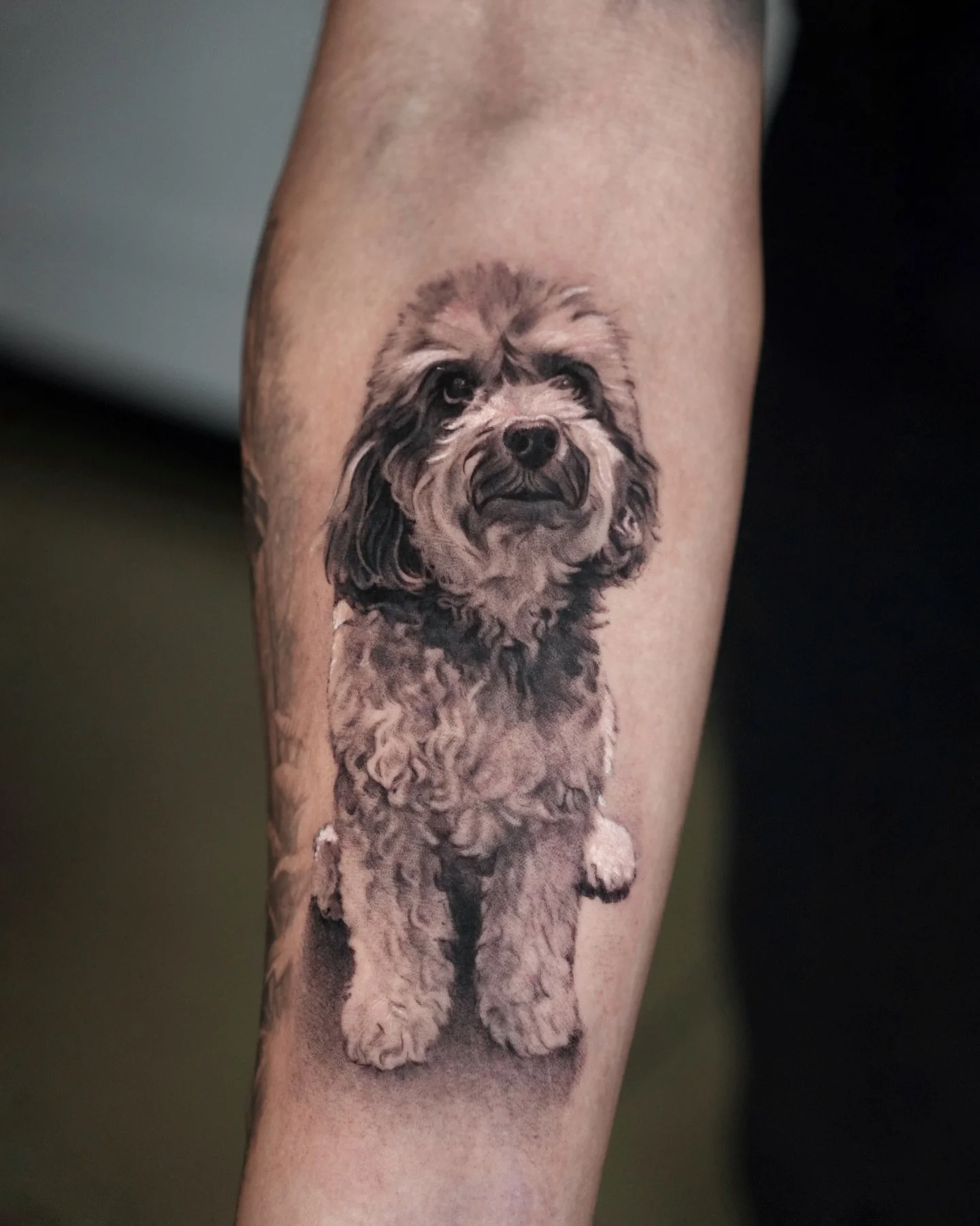 Books open, Inquiry link is in bio 🫶
Done at @dot.creativegroup 

#tattoo #dogtattoo #doodletattoo #photorealism #microrealism #detailedtattoo #portraittattoo #nyc #nyctattoo #goldy #inked #skinart #bestfriend #tattoodesign #arttattoo #dogtattoo