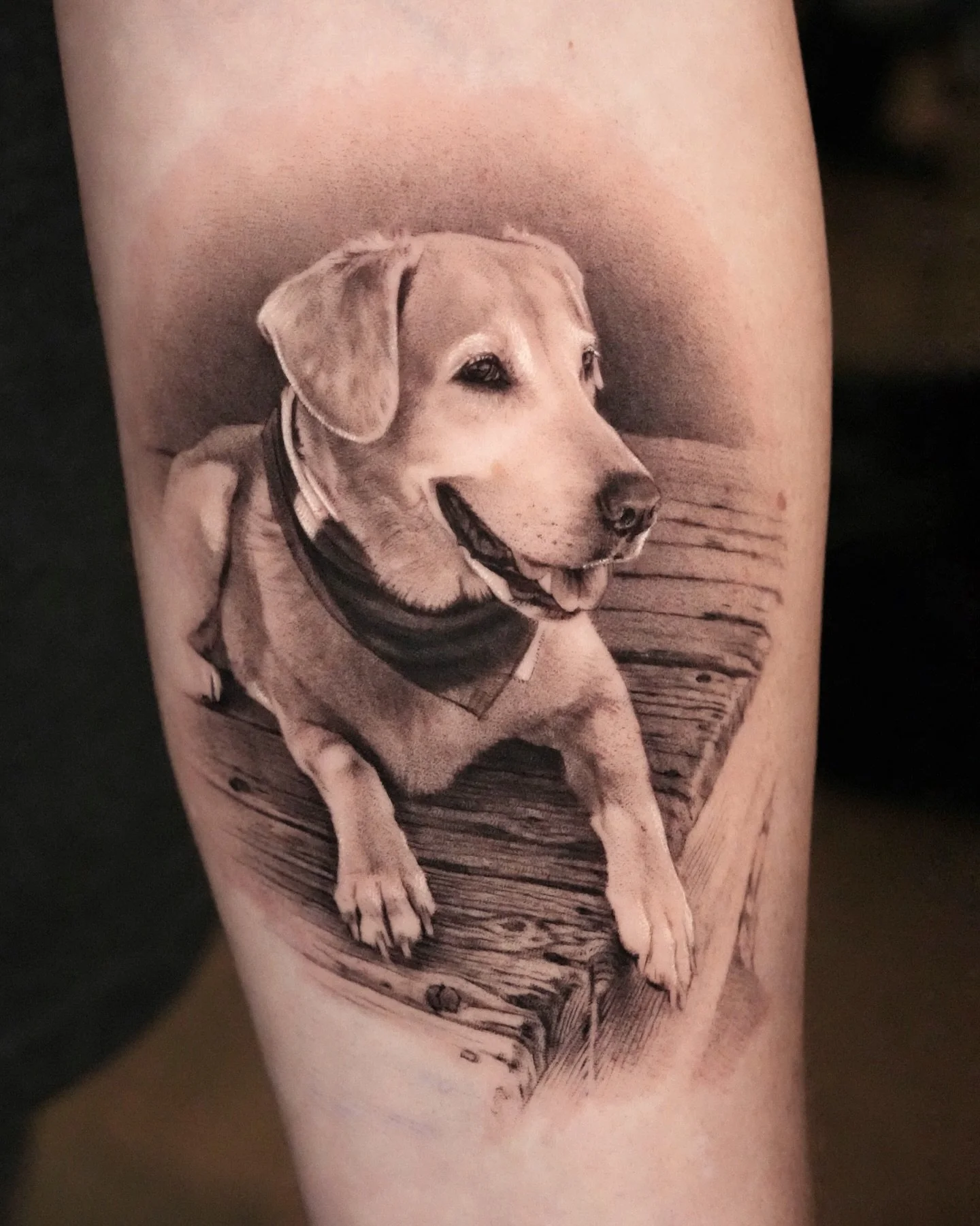 Day#3 
Goodgirl Hollywood 🫶
Inquiry link is in bio 🖤

#tattoo #dogtattoo #bestfriendtattoo #photorealism