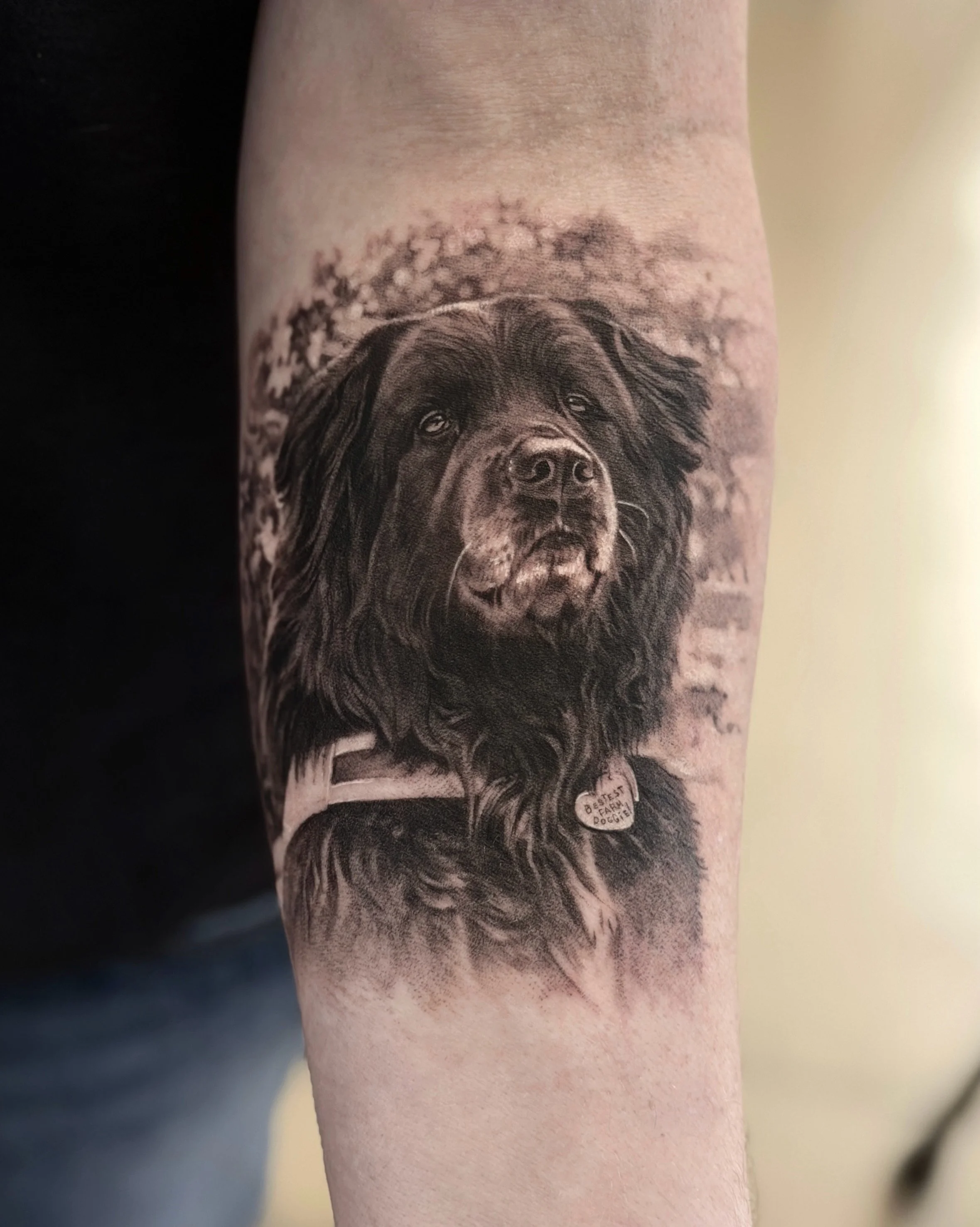 Bestest Farm Doggie Oliver 🖤

#dogtattoo #pettattoo #photorealism #microrealism #nyctattoo