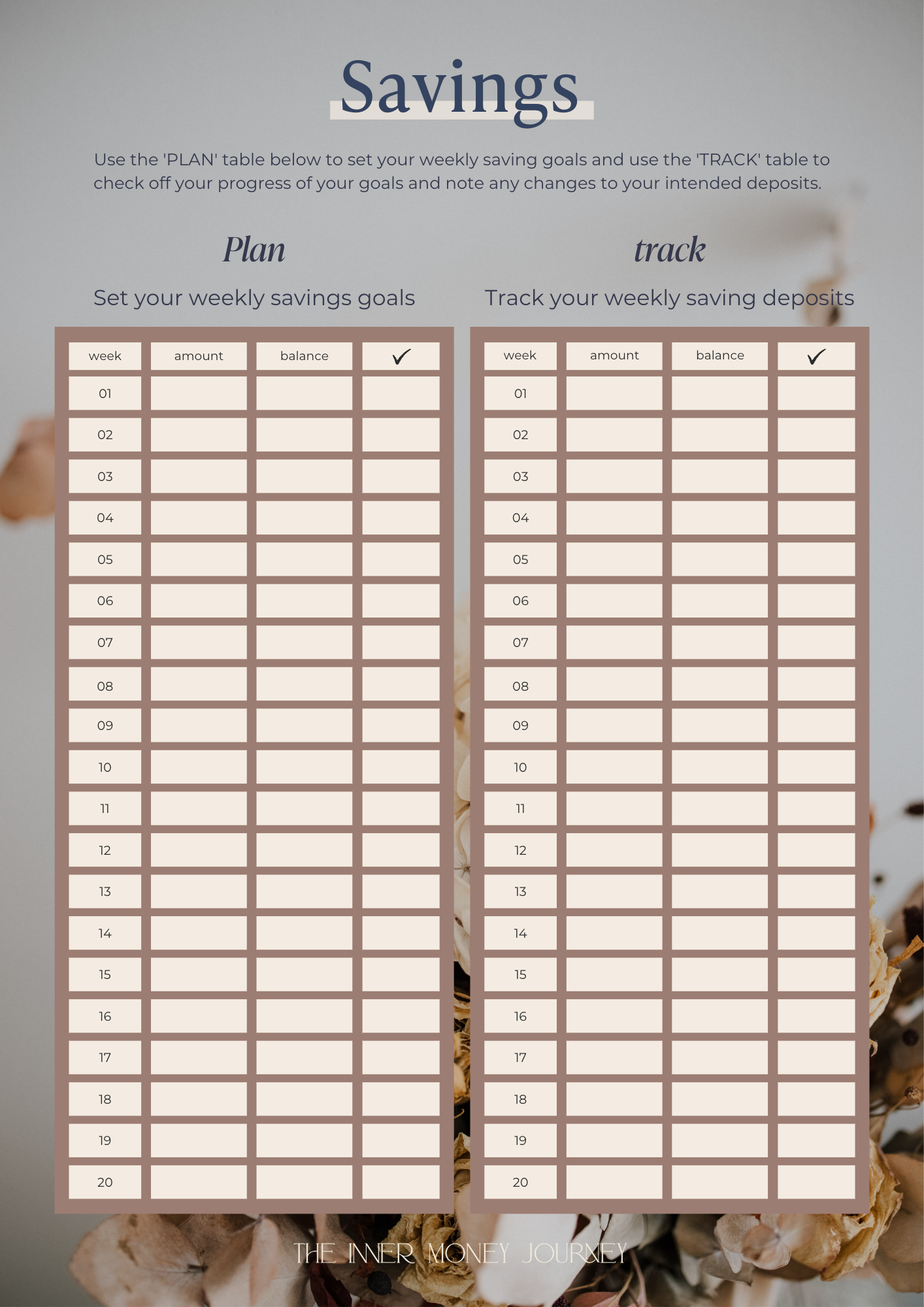 A printable savings tracking chart with two sections labeled 'Plan' and 'track' for setting weekly savings goals and checking off savings deposits each week. The chart has 20 rows for each week with columns for week, amount, and balance.