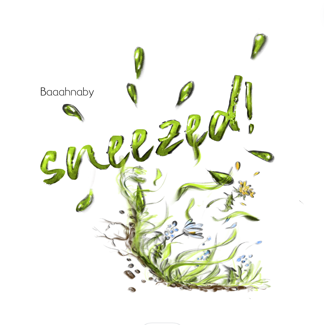 Baaahnaby Book Baaahnaby Sneezed Illustration