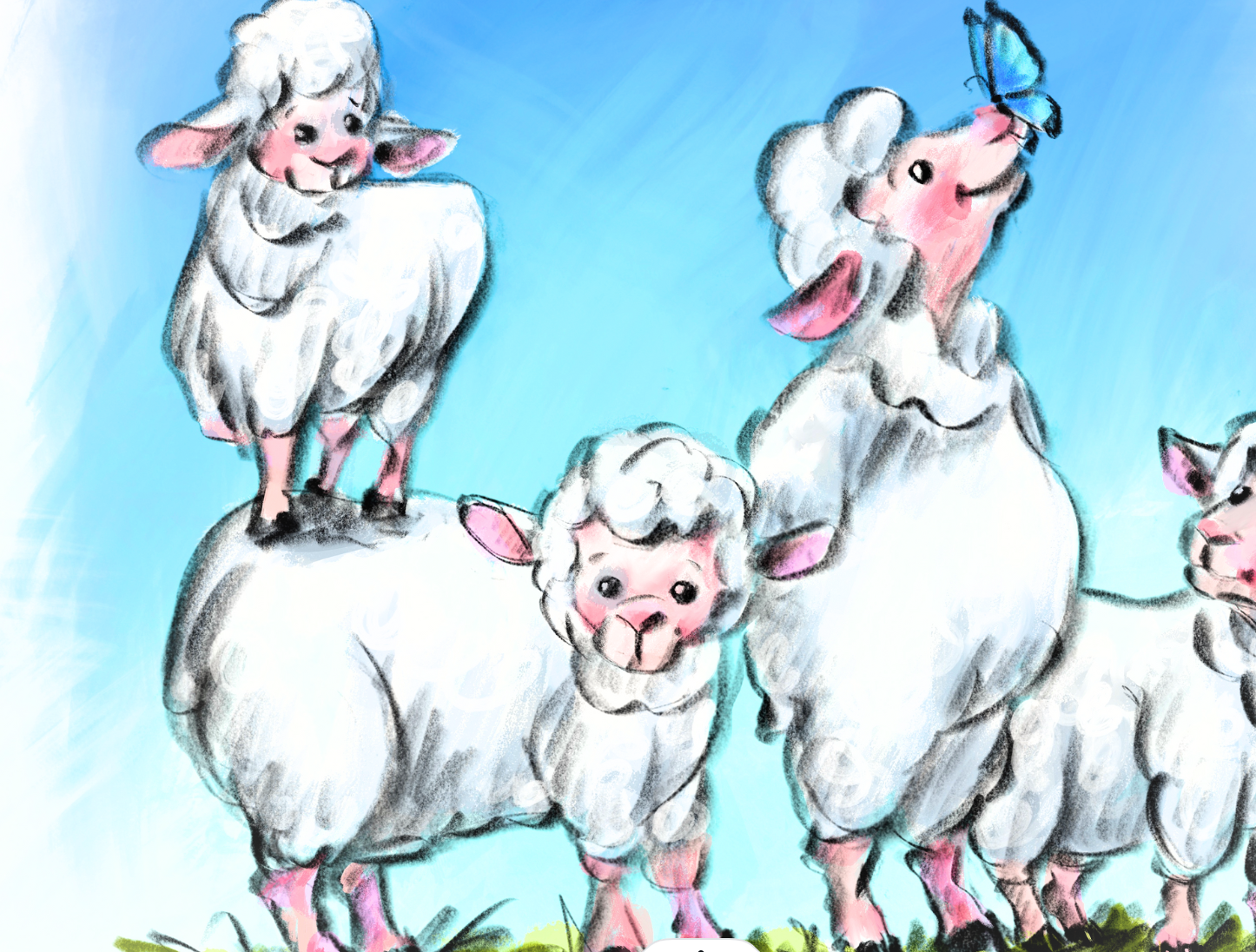 Sheep Flock Illustration