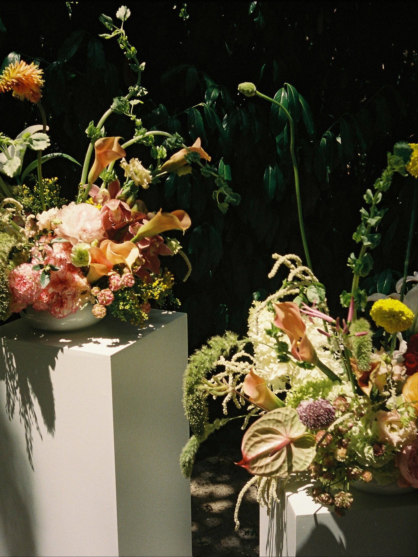 Pretty flowers from @mandeumaflor.studio 🌺 

Film &amp; Digital

Photography @filipemontesphotography 
Video @sirklaufilms 
Dress @ellisbridals 
Suit @gieveslondon 
Hairstylist @mineral.hair @joaomartins.hair 
MakeUp @barbarabrandao_makeup
Bouquet &