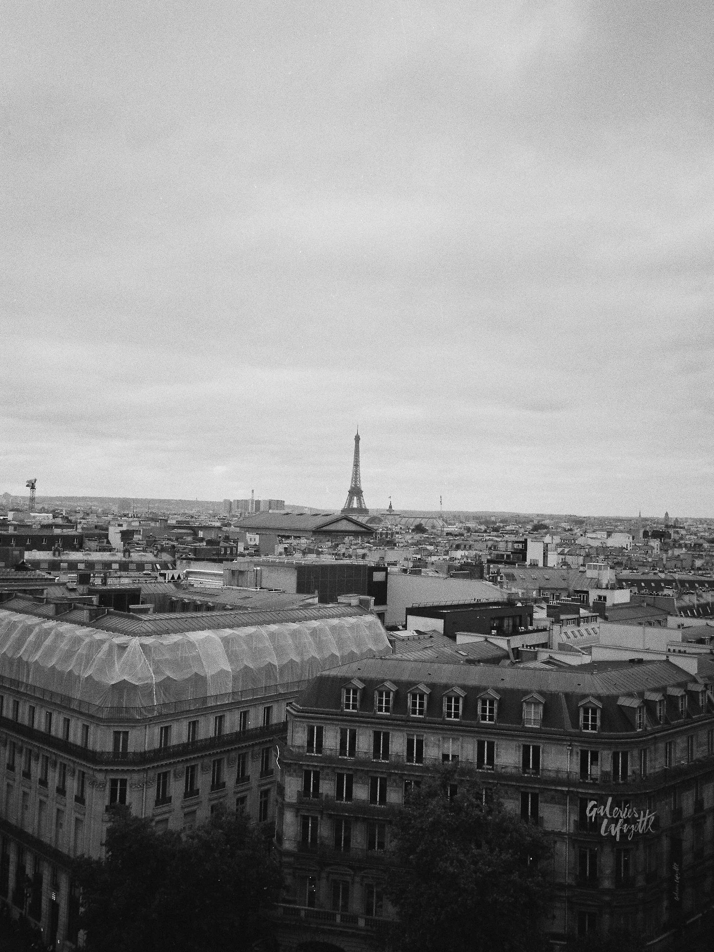 From Paris with love in film 🎞️ 

#portra400
#400tx
#apx400

Film developed @carmencitalisboa