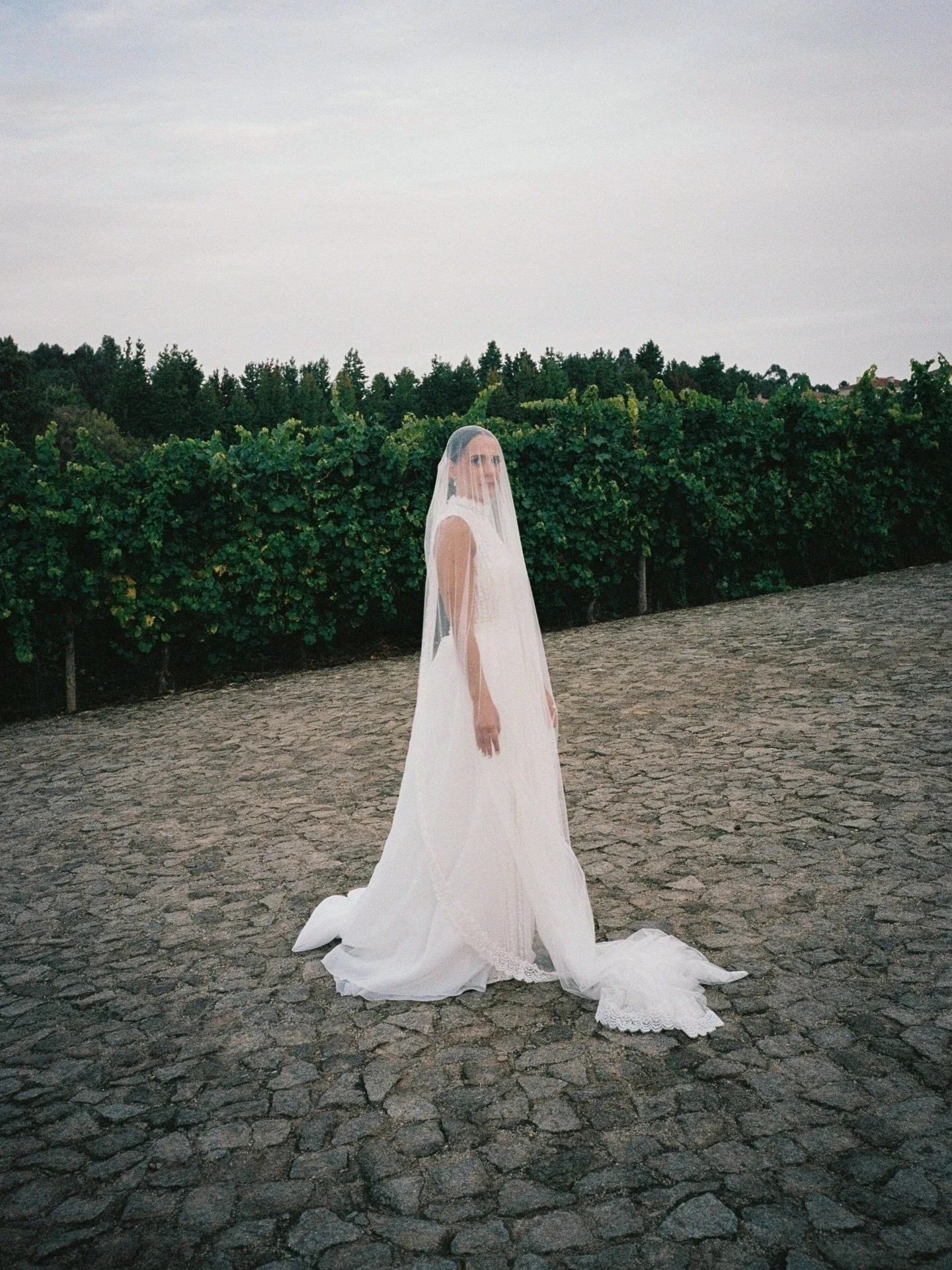 Lost in the softness of the veil ✨

Photography @filipemontesphotography
Venue @monverdehotel
Dress @rosa_clara
Jewellery @michaelkors
Suit @boss
Watch @tissot_official
MakeUp @bsantana_makeup
Hairstylist @conceptbeautyart
Bouquet &amp; Decor @jules.