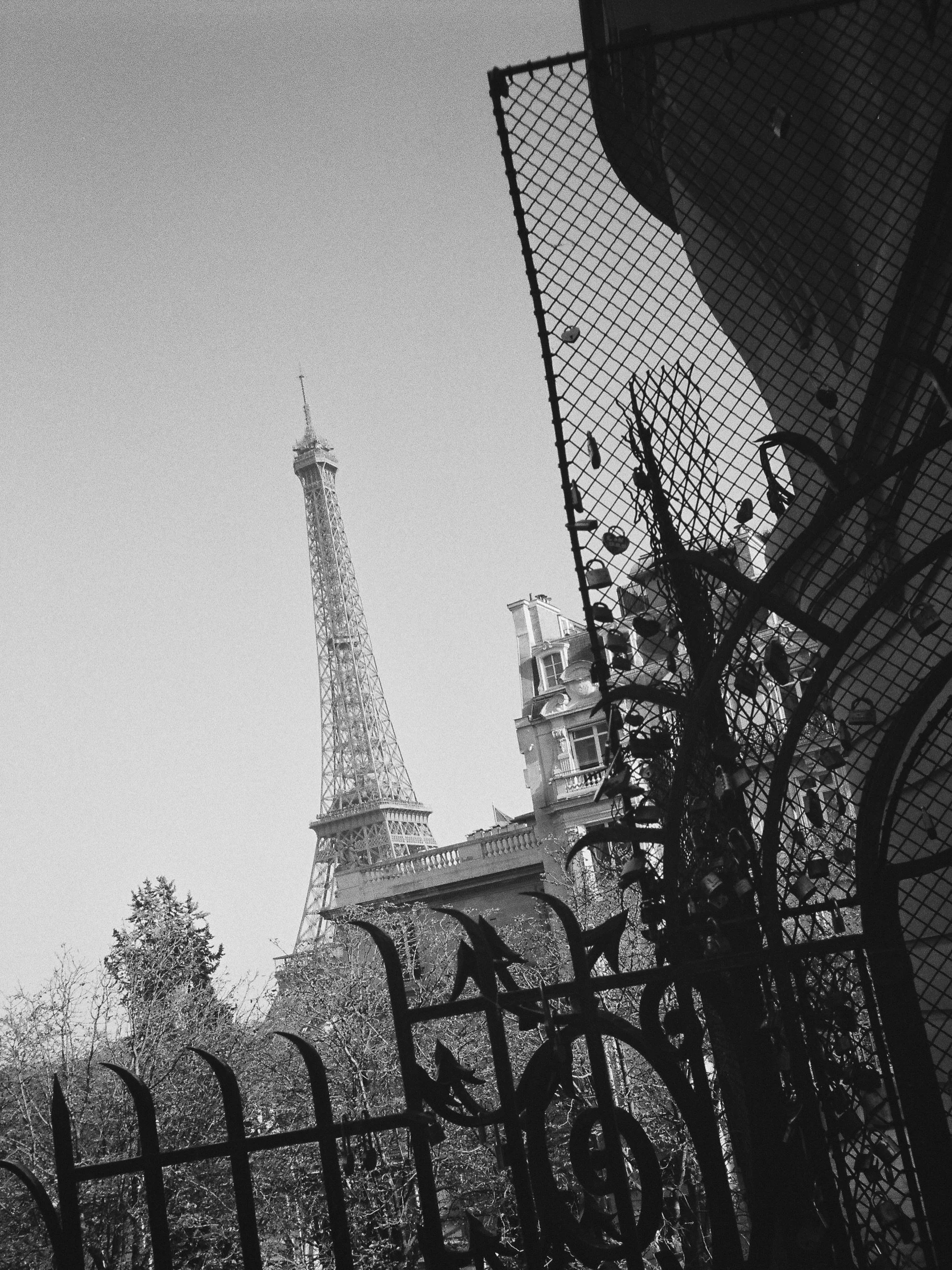 Eiffel Tower X Film 

#paris #weddingphotography #looseeditorial #parisphotography