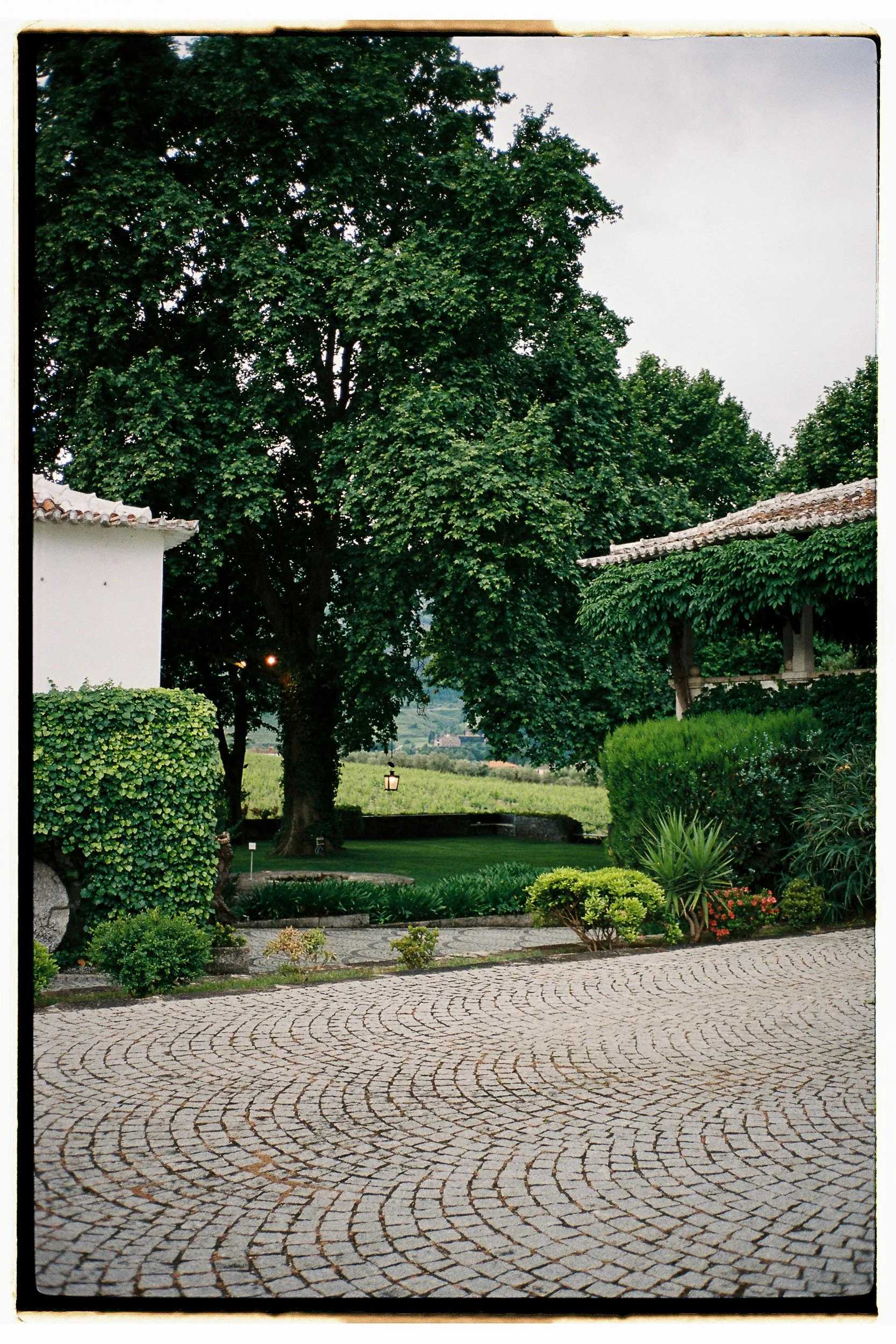Filipe Montes00056.jpg