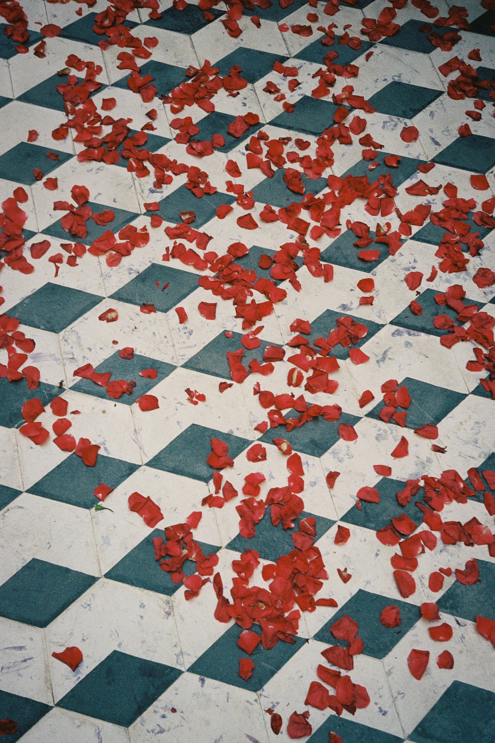 Filipe Montes-154.jpg