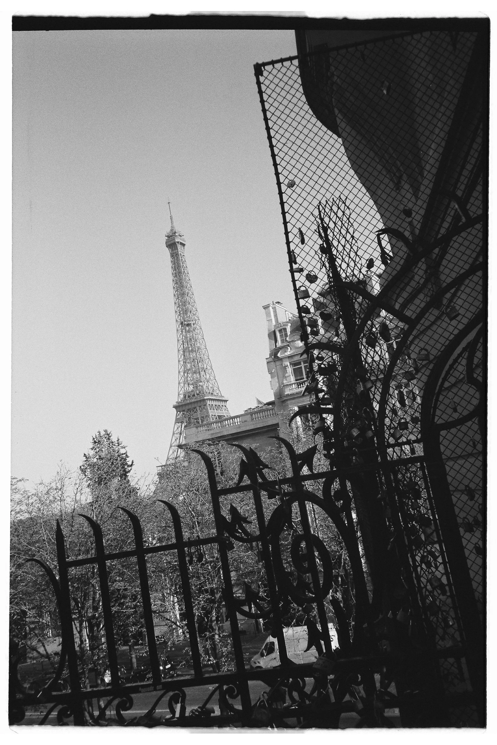 Black and white photo of Eiffel Tower viewed through a decorative metal fence with plants and buildings in the background.