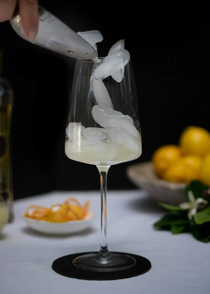SpritzerNarcissus_web_1.jpg
