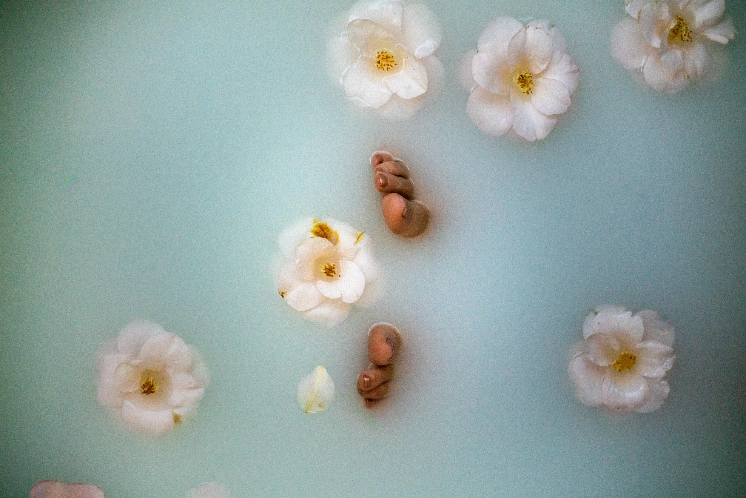 Bath Products_2_web.jpg