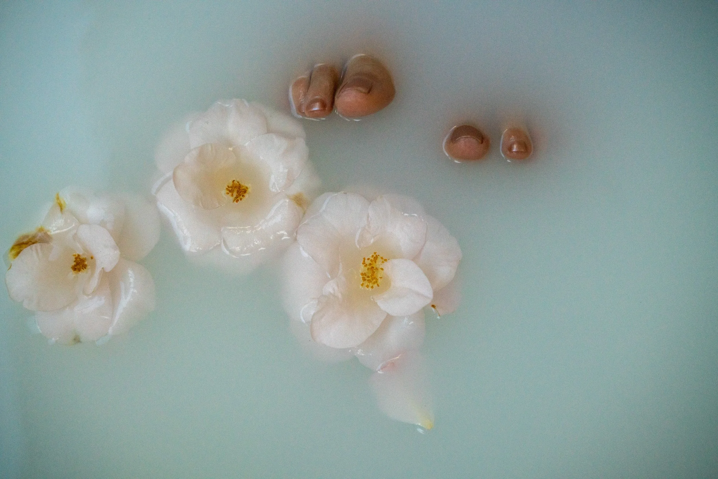 Bath Products_3_web.jpg