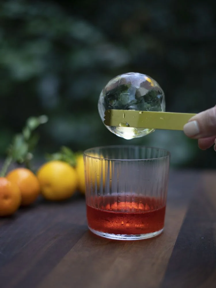 Negroni_4x3_web_6.jpg