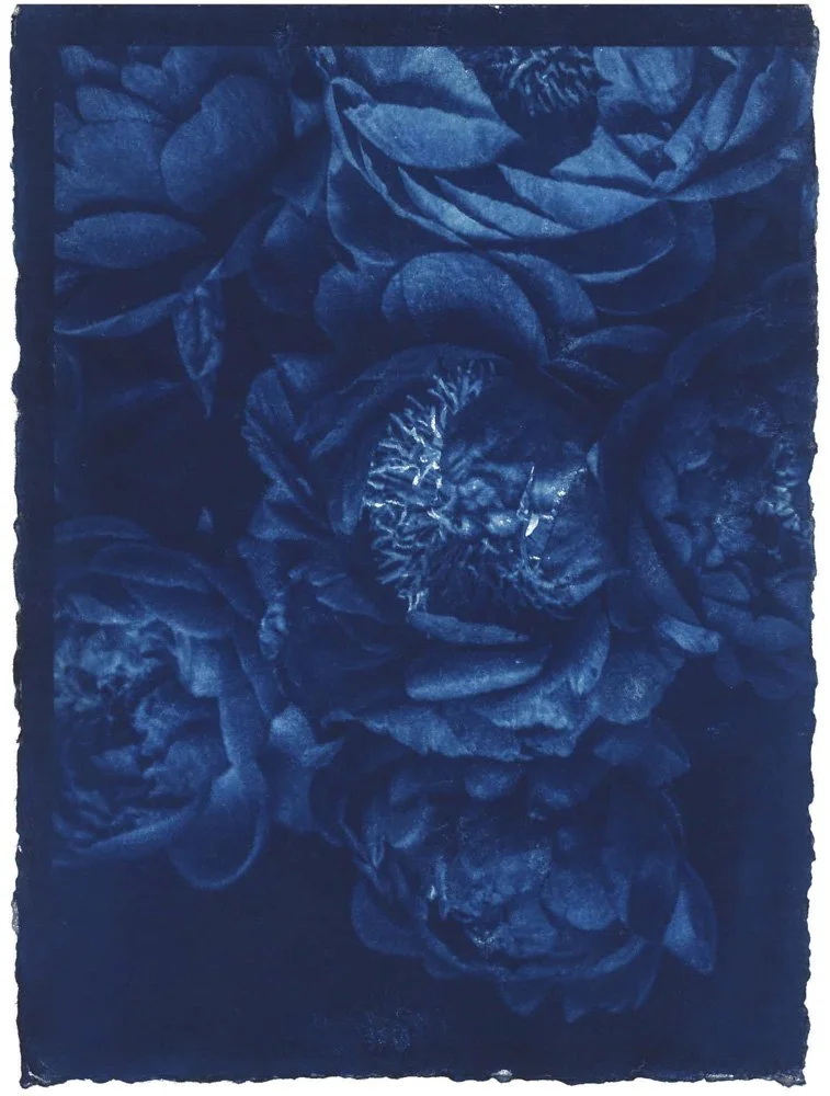 Cyanotype_Blue_web_1.jpg